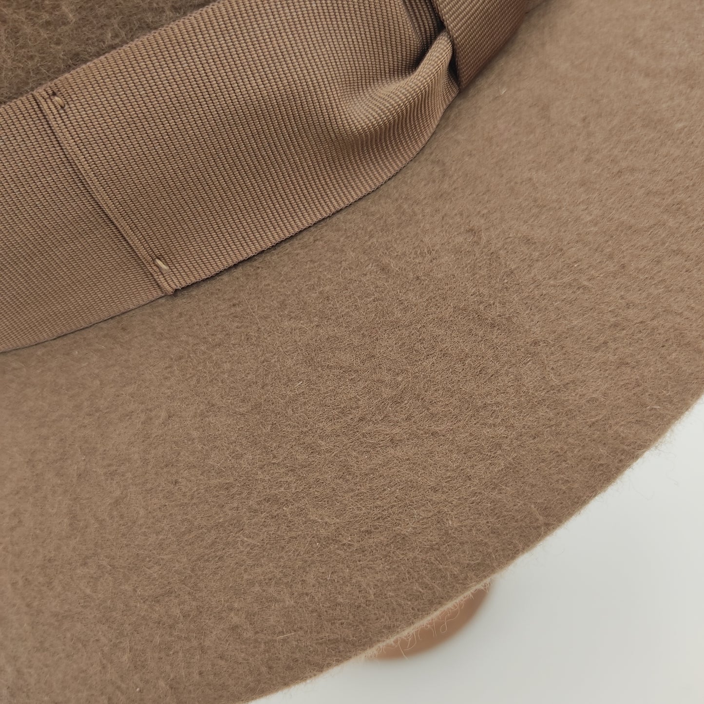 Fedora cashmere