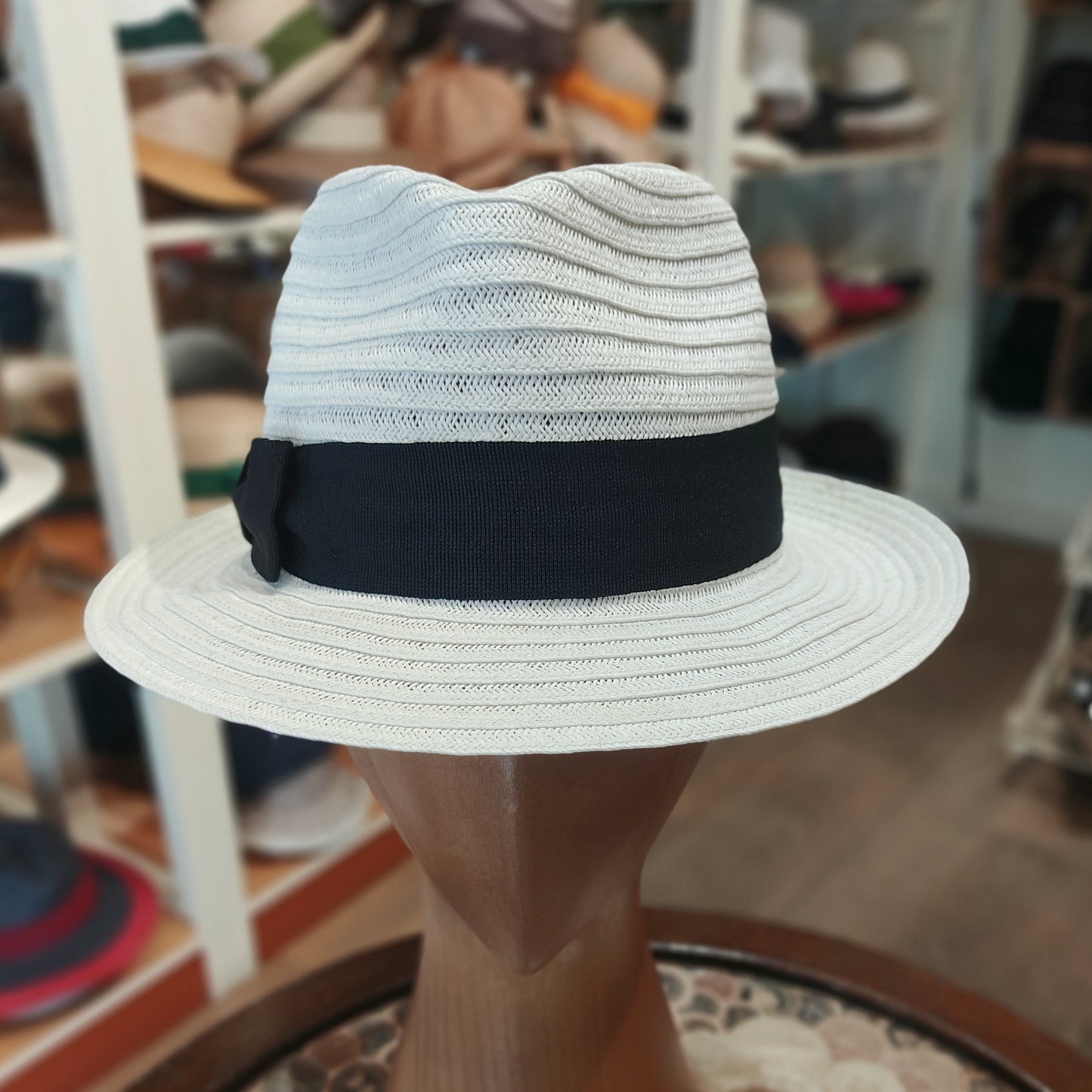 Fedora Lady D in toyo