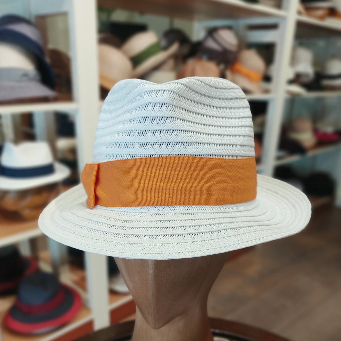Fedora Lady D in toyo
