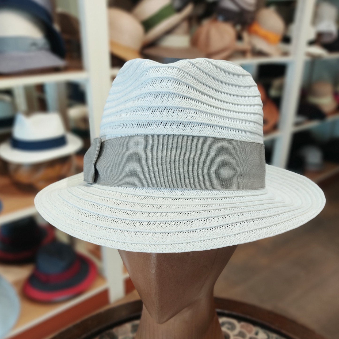 Fedora Lady D in toyo