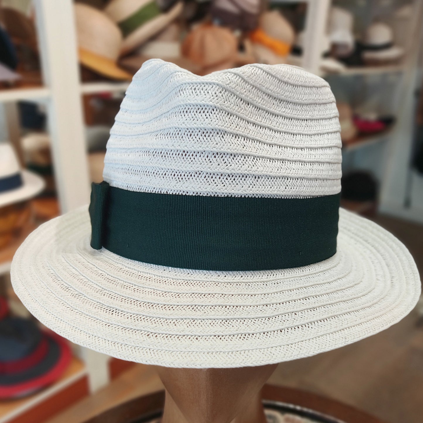 Fedora Lady D in toyo