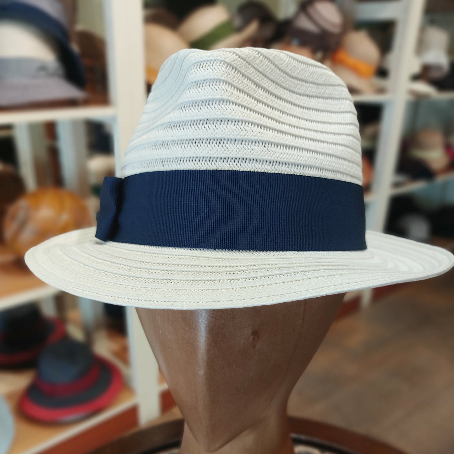 Fedora Lady D in toyo